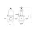 Bilde av Nuke Performance FPR100x EFI bensintrykkregulator 2x AN10 ORB / 1x AN10 ORB