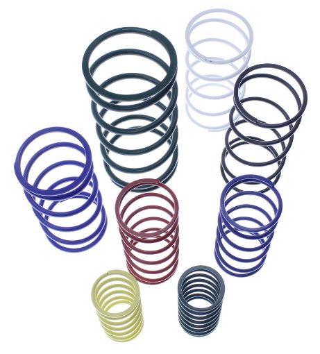 Bilde av Replacement Springs - Wastegate