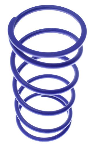 Bilde av Outer replacement spring - OD 47.1mm - Blue