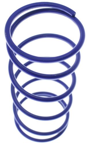 Bilde av Middle replacement spring - OD 38.1mm - Blue