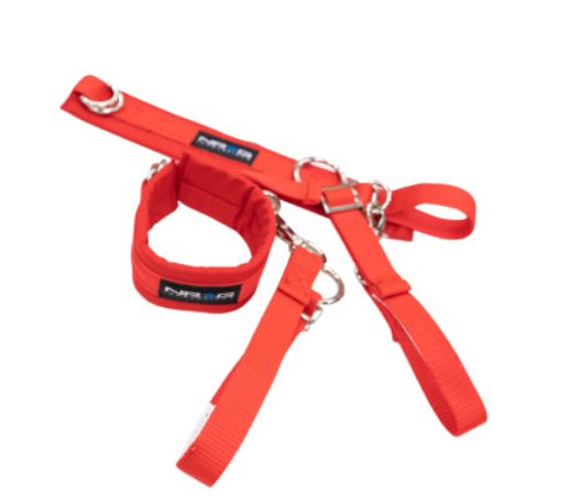 Bilde av NRG SFI 3.3 Arm Restraints One Pair - Red