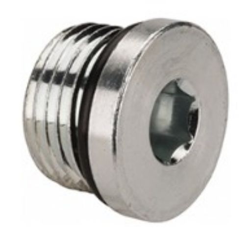 Bilde av 1/4 Bspp plug