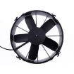 Bilde av 24V VA01-BP70/LL-36S (305 MM)