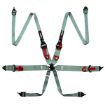 Bilde av RRS FIA 3" 2" R6 HANS® 2,8 Kg Grå Sikkerhetssele