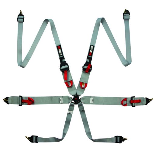 Bilde av RRS FIA 3" 2" R6 HANS® 2,8 Kg Grå Sikkerhetssele