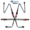 Bilde av RRS FIA 3" 2" R6 HANS® 2,8 Kg Grå Sikkerhetssele