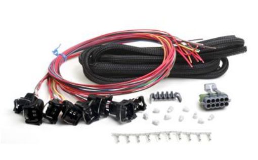 Bilde av Holley EFI Systems Wiring Harnesses 558-204