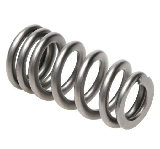 Bilde av PAC Racing RPM Series Valve Springs PAC-1234X-16