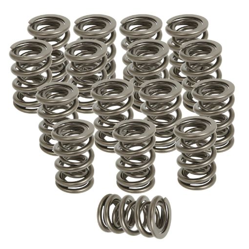 Bilde av Trick Flow® by PAC Racing Dual Valve Springs TFS-16414-16