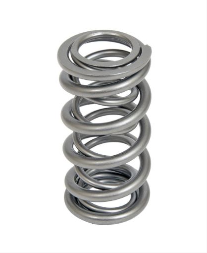 Bilde av Trick Flow® by PAC Racing Dual Valve Springs TFS-16521-1